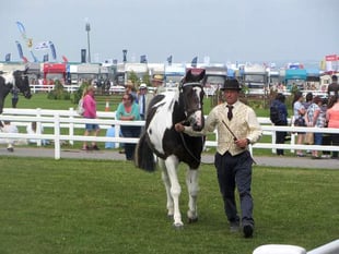 What is the weather like for the Royal Cornwall Show?