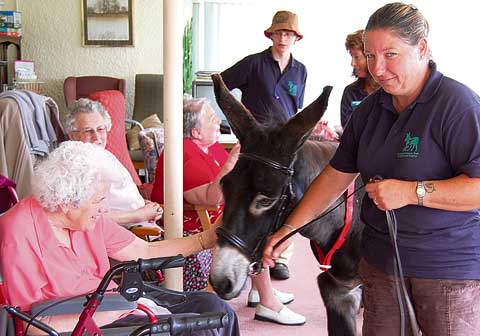 Welcome visitor to the Winsford Centre