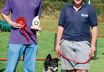 Holsworthy entries at dog agility class