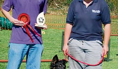 Holsworthy entries at dog agility class