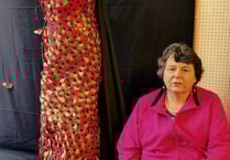 North Devon Hospice charity shop in Holsworthy pulls out all the stops with window display on Remembrance Sunday