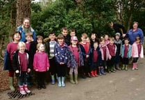 Woodland exploration day enjoyed