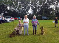 Sunshine for Shebbear's dog show