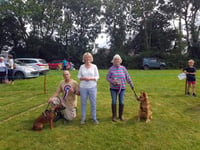 Sunshine for Shebbear's dog show