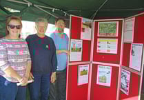 Week St Mary heritage day