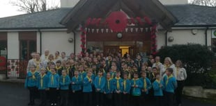 Scout sessions to take place online