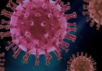 Covid deaths at lowest weekly total since early October