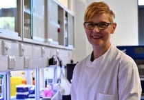 Breakthrough for animal free diabetes research