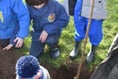 Tintagel primary eager to care for new fruit trees
