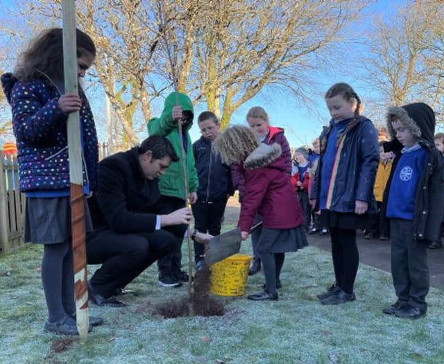 South Petherwin Primary School plant cherry tree