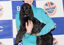 Dog duo retain world championship spot