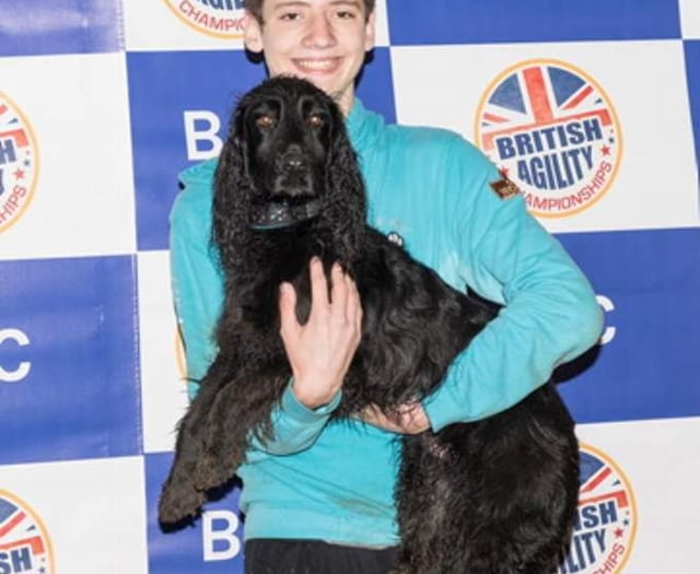 Dog duo retain world championship spot