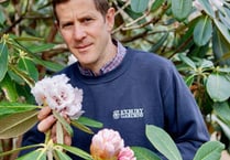 Exbury Gardens head gardener to give two lectures in Cornwall