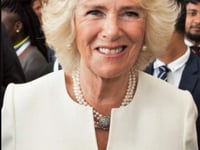 COVID-19: The Duchess of Cornwall and Prince of Wales test positive for coronavirus