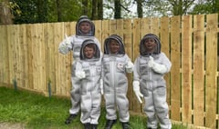 Primary School’s bees arrive