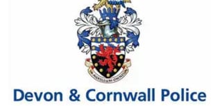Devon & Cornwall Police success during national knife amnesty