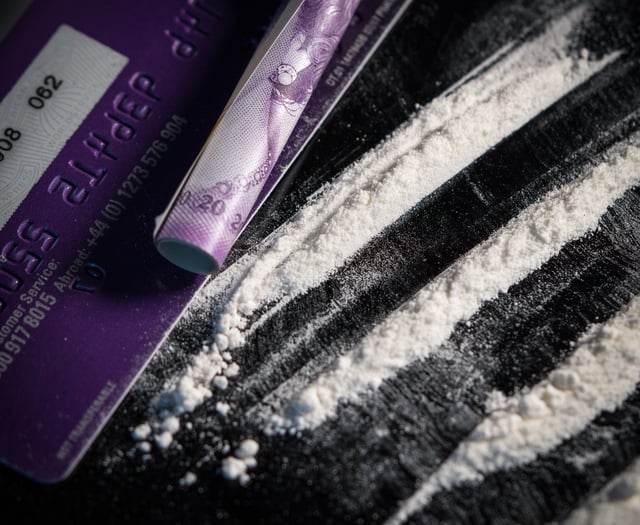 Woman guilty of helping ex policeman run cocaine dealing plot