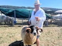 Agricultural show cancelled amid rising prices