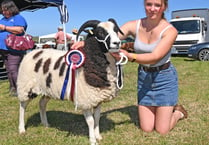 Camelford Show cancelled due to weather forecast