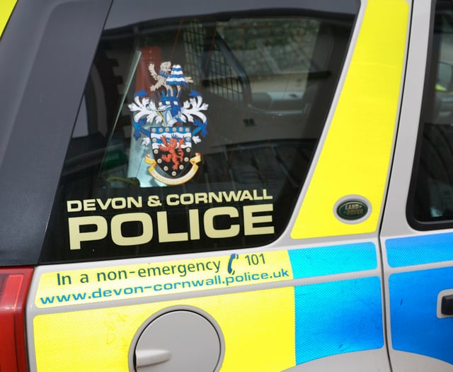 Arson investigation launched