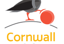 St Austell and Werrington set for tonight's Hawkey Cup final