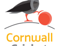 Tickets on sale for Cornwall v Somerset Showcase Game