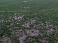 Three SWPL games survive the latest downpour