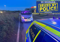 Police pull over delivery driver without insurance and expired visa