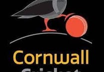 Cornwall Over 50s teams progress