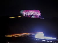Video: Cornwall's Welcome Home trees greet spring