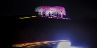 Video: Cornwall's Welcome Home trees greet spring