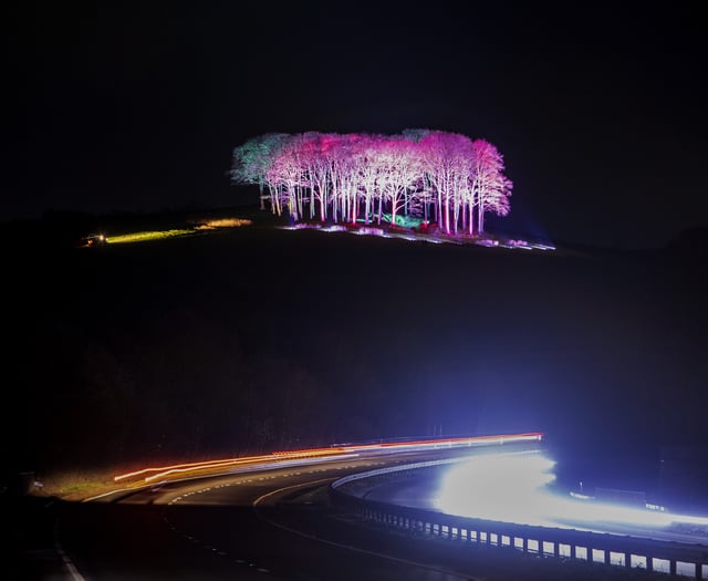 Video: Cornwall's Welcome Home trees greet spring