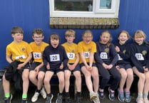 Won five medals in cross country