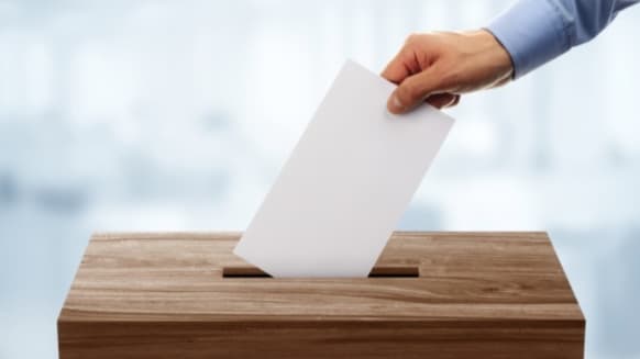 Local Elections: Everything you need to know before casting your vote 