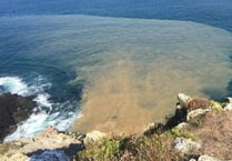 Torridge and North Cornwall areas among 20 worst areas for sewage 