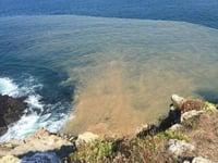 Torridge and North Cornwall areas among 20 worst areas for sewage 