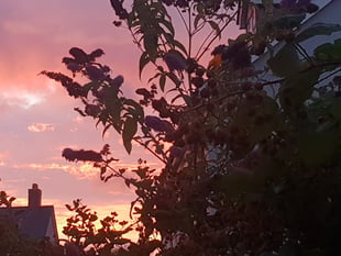 Your weather report ahead of the Bank Holiday weekend 