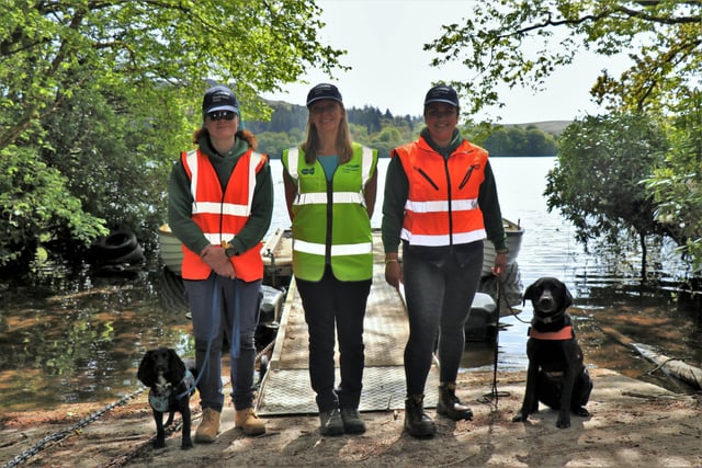 Dogs used in crayfish control