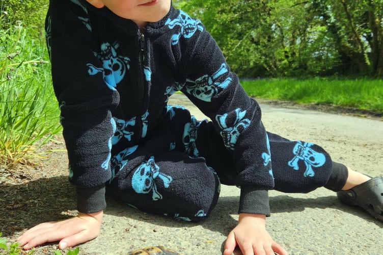 Mouse the tortoise was found hiding in the garden almost a week after going missing. 