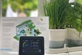 South West energy prices are the fifth highest in the UK 