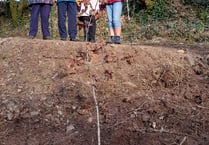 Bude U3a plant tree in celebration of 40th year