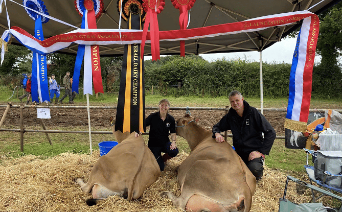Prize winning cattle at Launceston Show 2023