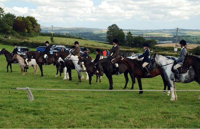 St Dominic Gymkhana and Dog Show returns after three year Covid break