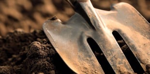 Residents invited to experience new gardening club