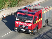 Emergency services called out to rescue horse