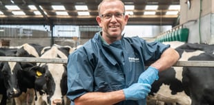 Penbode Vets plans farm vet day