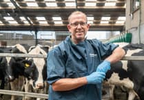 Penbode Vets offers free farm vet taster day for teens