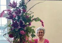 Bude flower club discovers the power of pink