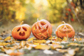 Hallowe'en fun at Cornwall Cricket Centre