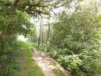 Council appeal for support to save iconic nature trail
